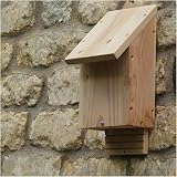 Wildlife World Chavenage Bat Box - Natural Timber Single Chamber Bat House view 3