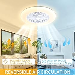 KAMLAM 24" Bladeless Ceiling Fan with Light, Low