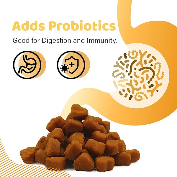 IPAW DOG TREATS FOR PUPPY TRAINING, ALL NATURAL HUMAN GRADE SOFT DOG TREAT WITH PROBIOTICS, HYPOALLERGENIC, EASY TO DIGEST (BEEF)