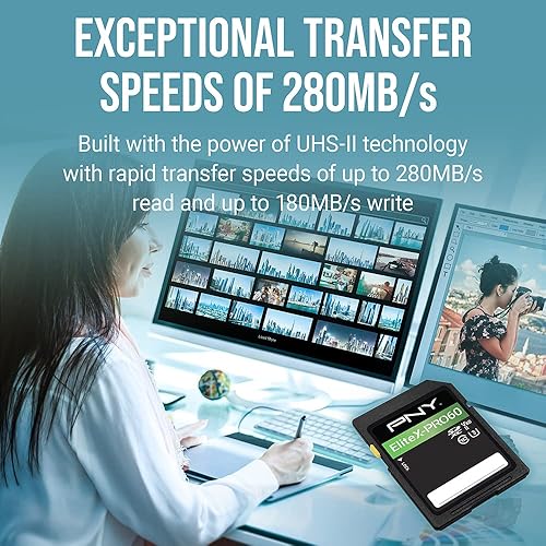 PNY 512GB EliteX-PRO60 UHS-II SDXC Memory Card R280MB/s W150MB/s