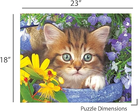 puzzles amazon niños