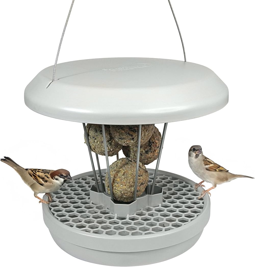 Swissinno Bird Feeders Hanging Station Lucerne No Mess Seed Tray 7 Fat Balls