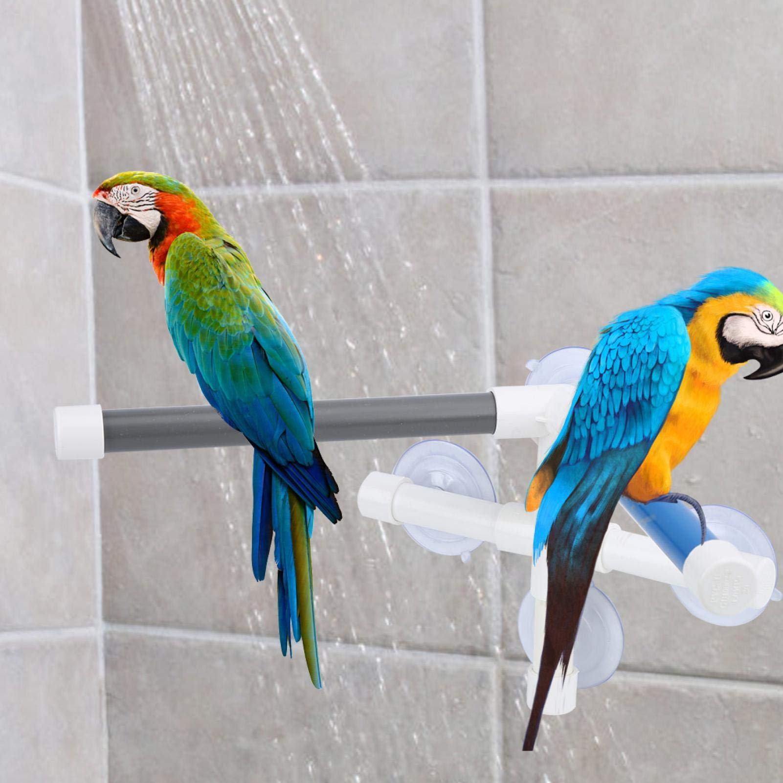 Clasken Sturdy and Durable Parrot Shower Stand, Bird Bathing Perch, Perch Stand 13.8x10.6x7.5In for Parrot Macaw