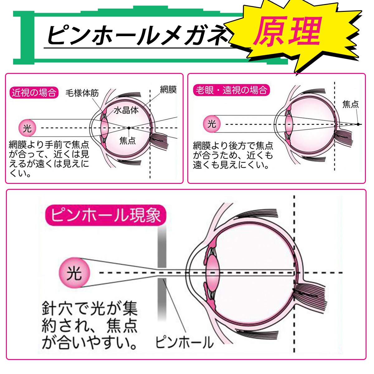 Mua Dollger Pinhole Glasses Eyesight Recovery Improved Vision Vision Training Can Be Used As A Perspective For Eye Muscle Exercise Improves Eye Strength Myopia Farsight And Myopia Tren Amazon Nhật Chinh Hang