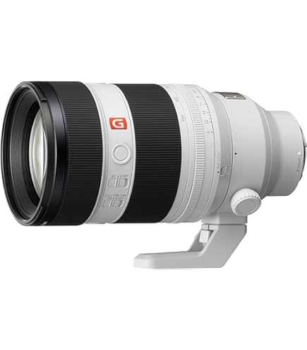 ソニー(Sony) 70200 f2.8 gm ii Amazon.com : Sony FE 70-200mm F2.8 GM OSS II Full-Frame