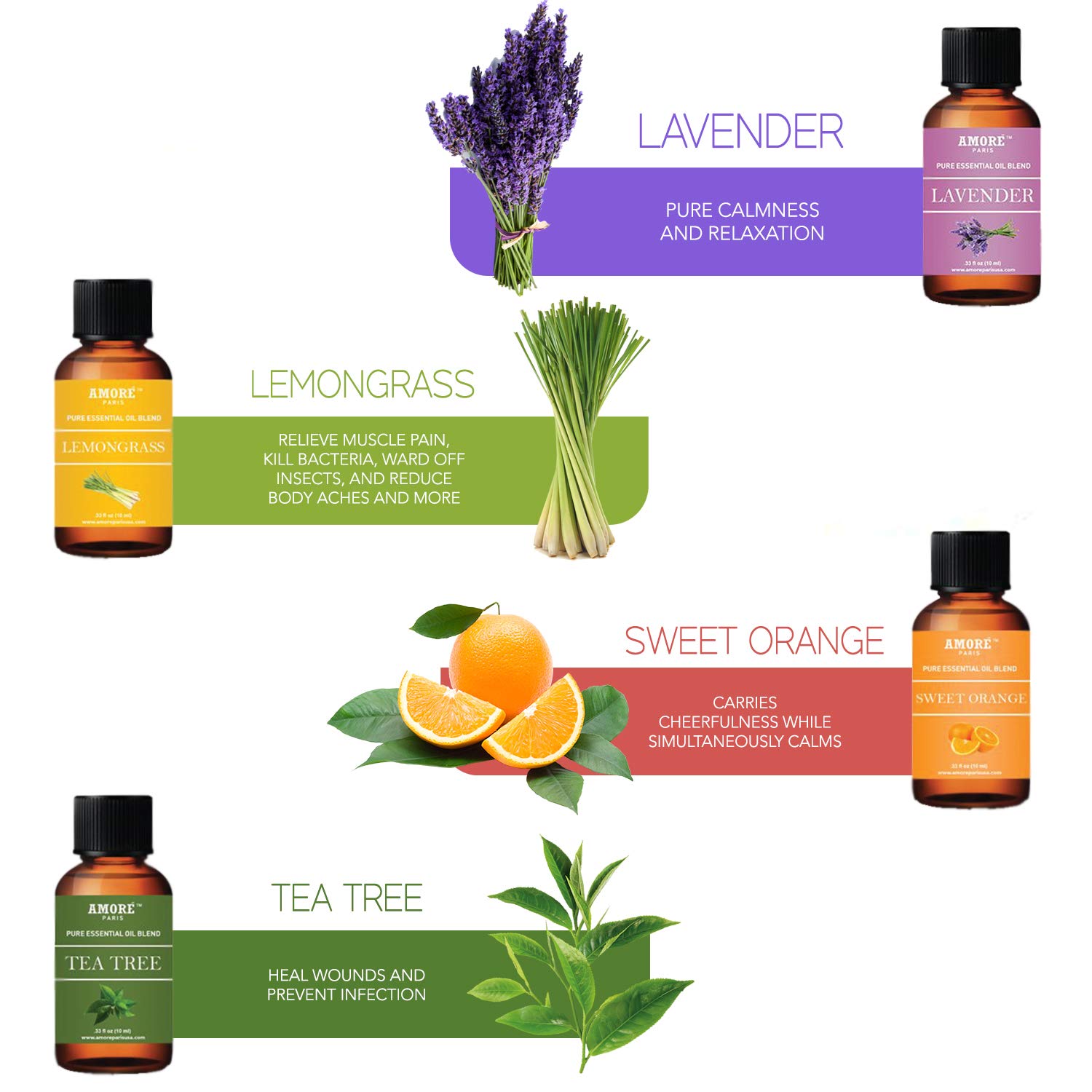 Aromatherapy 100% Pure Therapeutic 16 - Piece High Grade Essential-Oils : Beauty