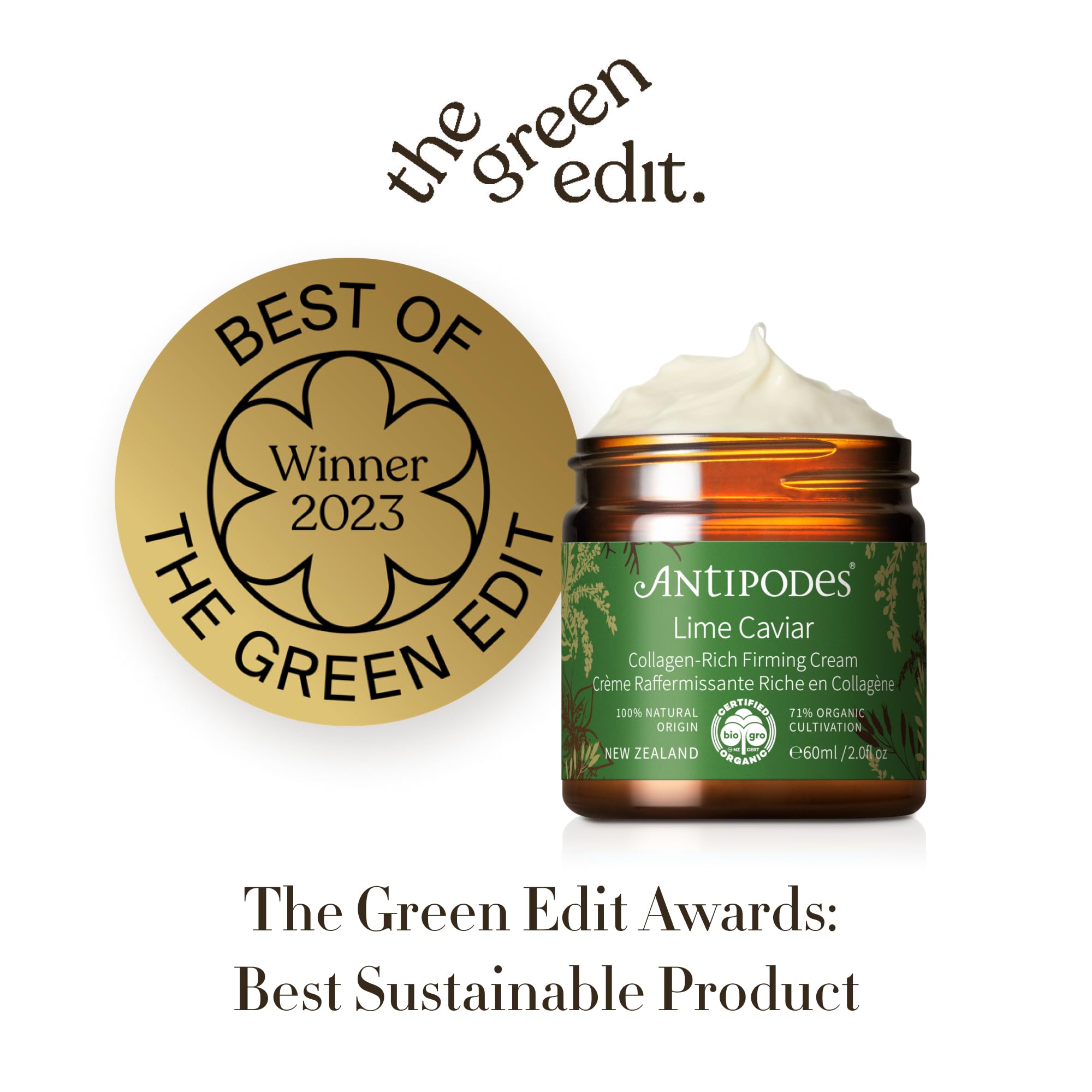 View 5
