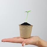 DIVCHI 96x 6cm Biodegradable Seedling Pots Paper Cups for Herbs Vegetables view 6