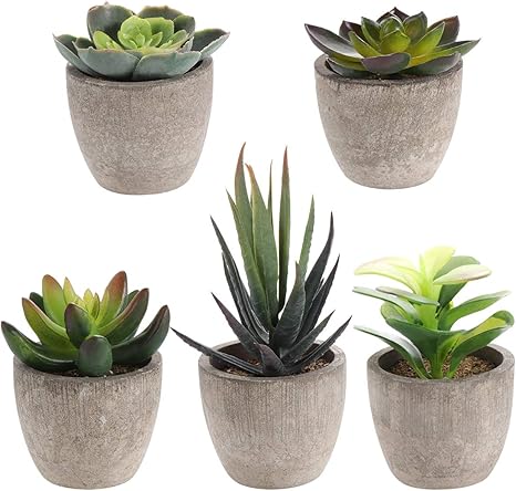 Amazon リビングルームホームテーブル用5pcsレトロなミニ人工ジューシーなインテリア鉢植え植物多肉植物 人工観葉植物 オンライン通販
