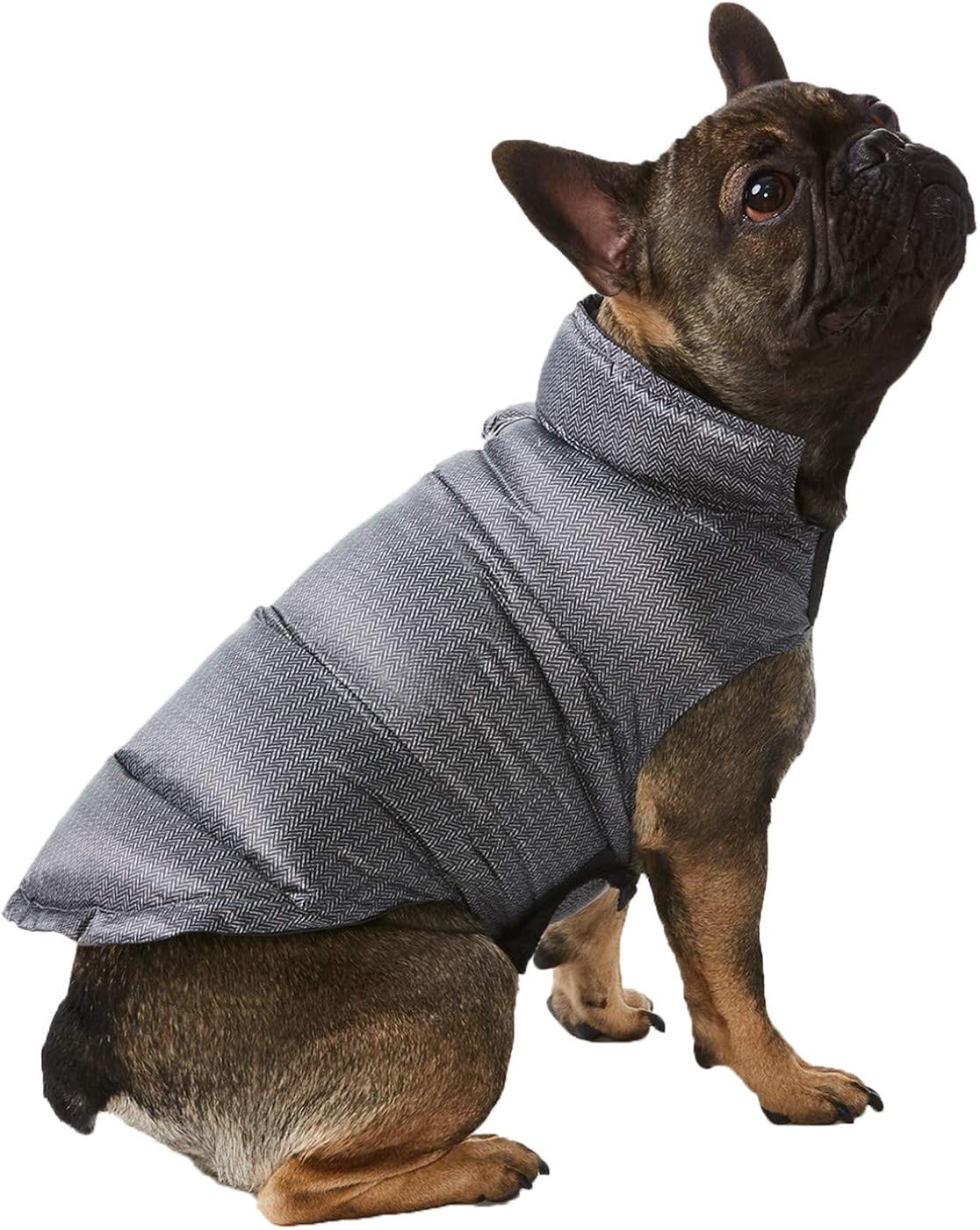 32 degrees dog puffer jacket