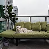 Amazon Com Studio Outdoor Converting Patio Furniture Sofa Couch And Love Seat Folding Lounge Chair Brown With Green Cushions Garden Outdoor