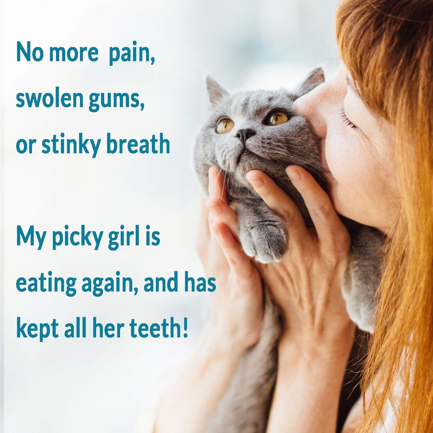 Cat Oral Health and Dental Care Supplement - Natural Anti-inflammatory and Pain Relief for Feline Stomatitis and Tooth Infection, Helps Control Tartar, Plaque and Gum Disease - Easy to Use : Pet Supplies