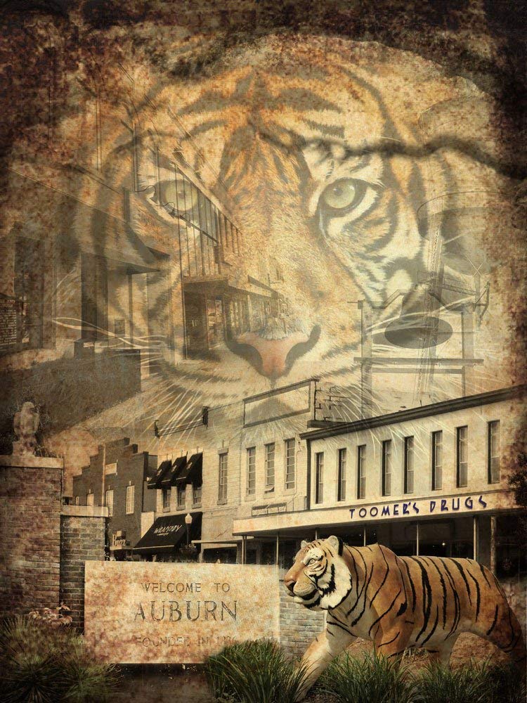 Best Auburn Home Decor