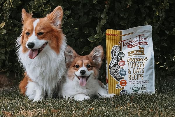 SMALL BREED ORGANIC TURKEY & OATS