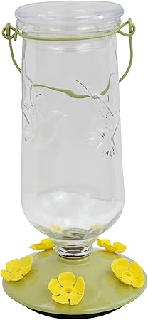 Amazon Com Perky Pet 9108 2 Desert Bloom Top Fill Glass