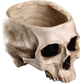 IBWell Modern 6 inch Large Funny Resin Skull Shaped Head Design Flower Pot Planter Container, Decoration Flowerpot Props Home Office Desk Decor (Classic)