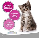 Logic Oral Hygiene Gel for Dogs & Cats 70g Cat Toothpaste Dog Toothpaste view 5