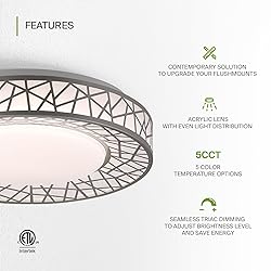 ASD 12 Inch LED Flush Mount Ceiling Light Fixture