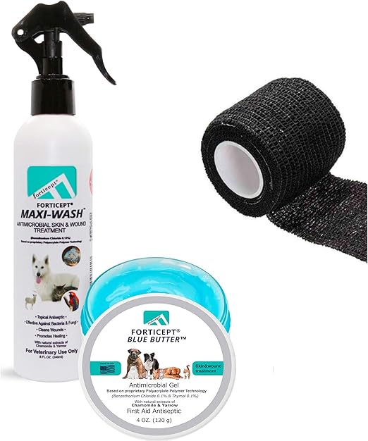 home hot spot treatment for dogs