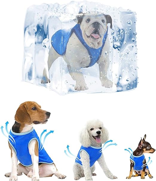 dog cooling jacket amazon