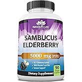 NaturaLife Labs Sambucus Elderberry 5,000 mg Equivalent (65:1 Extract) with Vitamin C & Zinc - 90 Capsules - Vegan, Gluten Free, Non-GMO