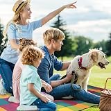Vinsani Foldable Picnic Blanket 260 x 220 cm Anti Slip Waterproof Sand Proof view 5
