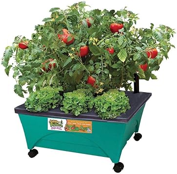 Amazon.com: CITY PICKERS 24.5" X 20.5" Patio Raised Garden Bed Kit with