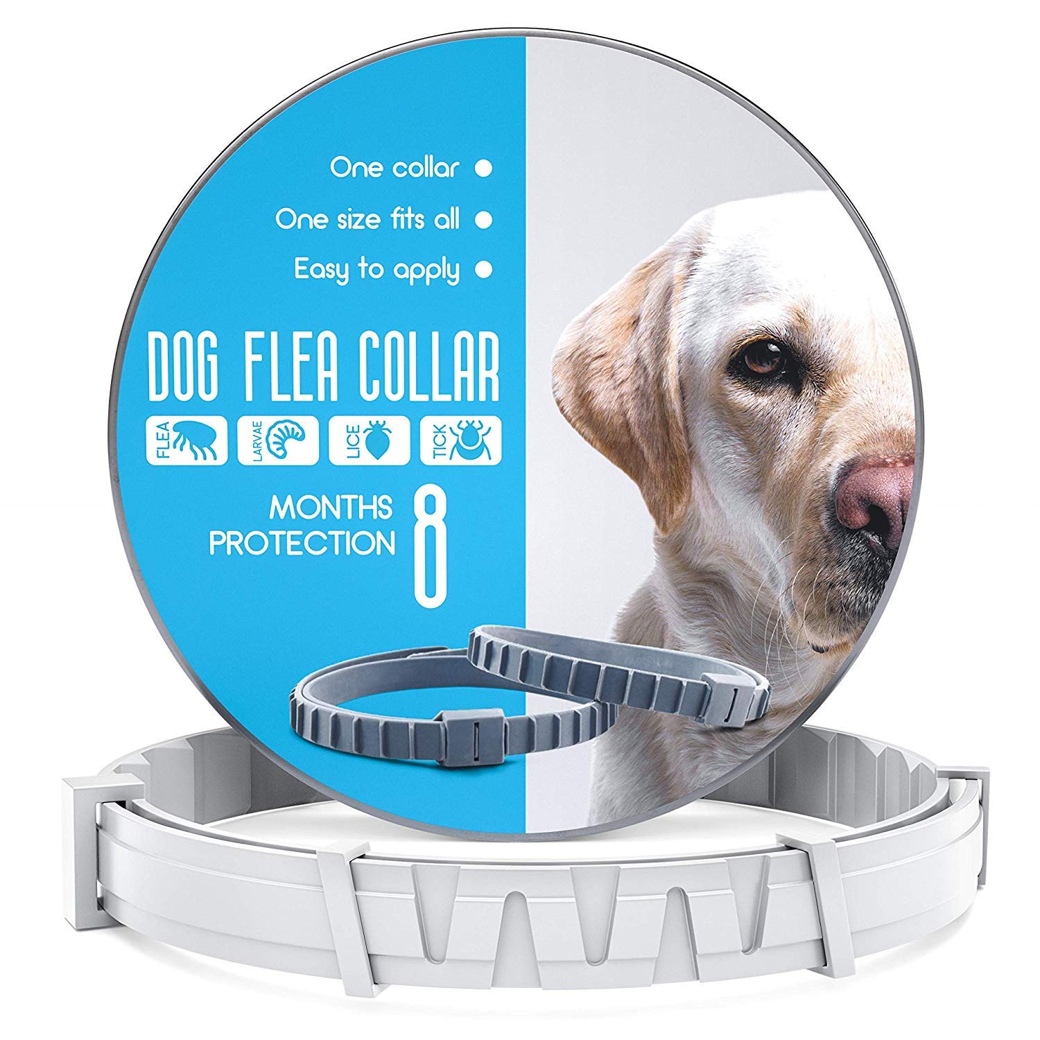 Dog Flea and Tick Control Collar Treatment and Prevention for Dogs