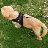 Funkeen Pet House Dog Harness Mesh Breathable Adjustable S Black view 8