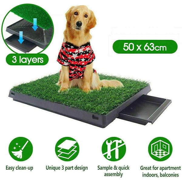 puppy toilet training grass