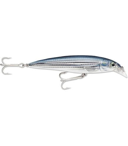 Agua Salada Grandes Depredadores Señuelo Pesca Rapala X-Rap