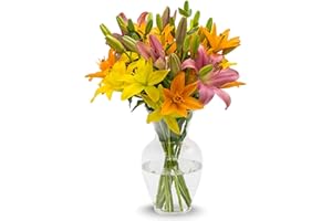 Stargazer Barn - 10 Stem Autumn Sunrise Bouquet Royal Lilies (Vase Not Included) - Fresh Flowers for Delivery - Gift for Anniversary, Birthday, Congratulations, Get Well, Graduation, Sympathy