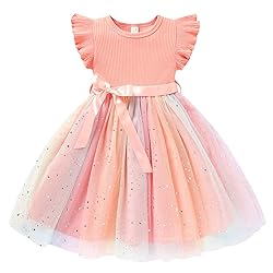Sinhoon Toddler Girl Tulle Dress Summer Ruffle