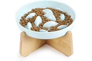 PETTOM Slow Feeder Cat Bowl with Stand, Ceramic Slow Eating Cat Bowl with Higher Edges Fish Pool Design Elevated Food Bowls for Dry and Wet Food Anti-Vomiting Puzzle Feeder for Healthy Eating Diet