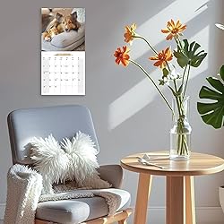 2025-2026 Wall Calendar Shetland Sheepdog Planner