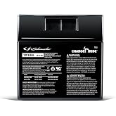 Schumacher Electric Charge 'N Ride 12V Replacement Battery, 9.5Ah &ndash; TB3 | For Fisher-Price Power Wheels Ride-On Toy Vehicles &ndash; Sealed Lead-Acid &ndash; Rechargeable &ndash; 12V 9.5Ah &ndash; Direct Replacement