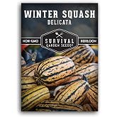 Delicata Winter Squash Seeds for Planting - 1 Pack | Heirloom Non-GMO Vegetable Seed, Easy to Grow, High Yield Compact Vining Vegetables - Survival Garden Seeds