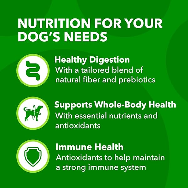 IAMS PROACTIVE HEALTH MINICHUNKS ADULT DRY DOG FOOD WITH REAL CHICKEN, 7 LB. BAG