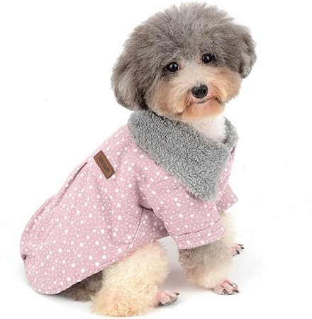 dog winter jacket amazon