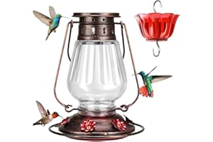 Kingsyard Glass Hummingbird Feeder for Outdoors Hanging - Vintage Lantern Style Leak-Proof Humming Bird Nectar Feeder with 6 