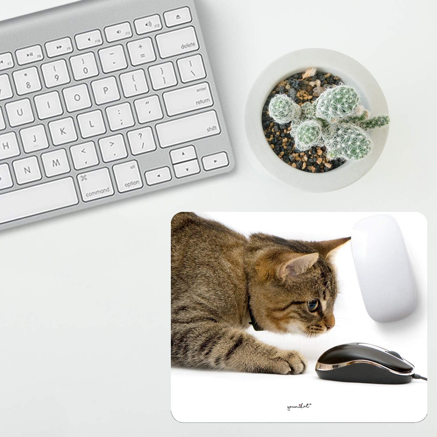 Tapis De Souris Avec Motif Chat I 24 X 19 Cm I Tapis De Souris Taille Standard Antiderapant I Pour Filles Adolescentes Femmes I Chat Souris I Dv 397 Amazon Fr Fournitures De Bureau