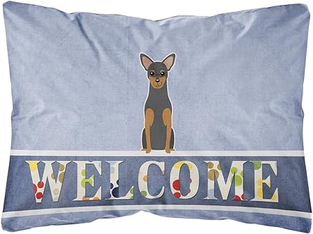 manchester terrier blue