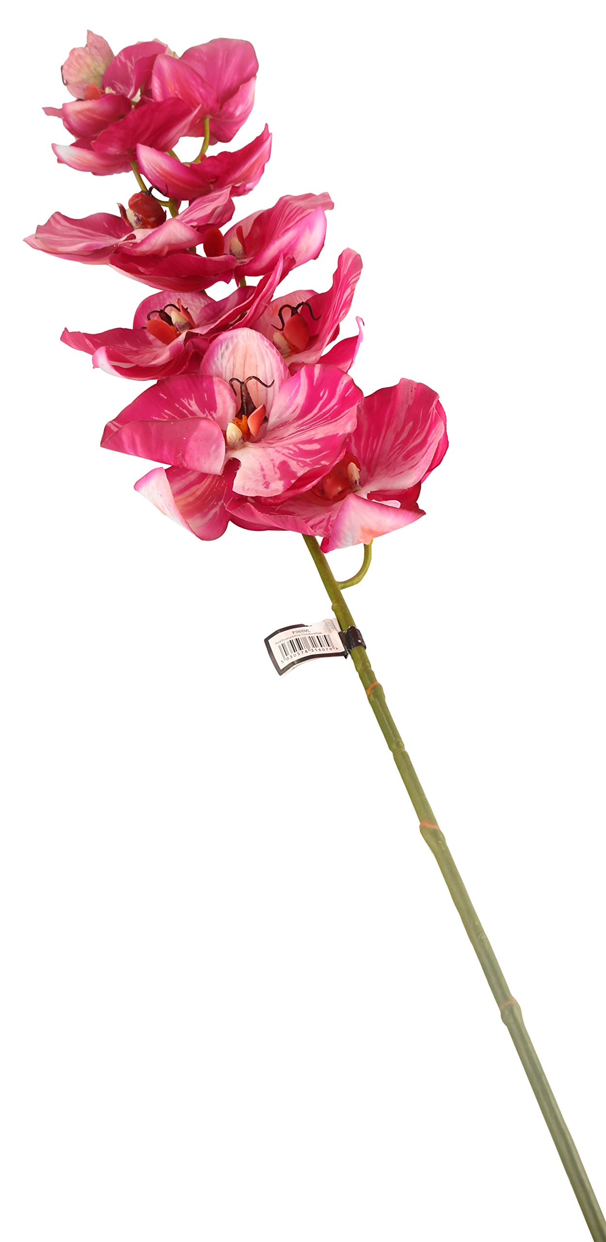 Floral Elegance Artificial 109cm Single Stem Magenta Phalaenopsis Orchid Flowers x 6