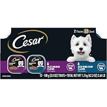 Amazon.com: CESAR 成人濕狗糧經典醬汁麵包上沙朗風味,3.5 盎司(約99.2 ...