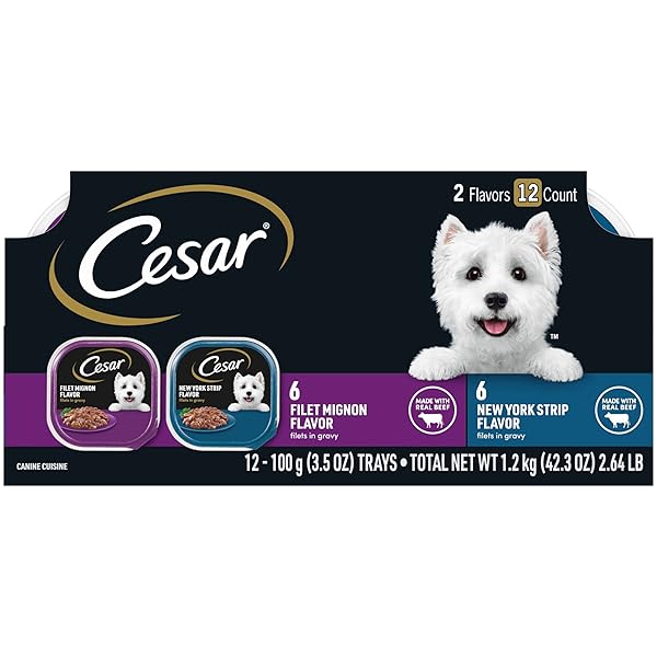 CESAR FILETS IN GRAVY ADULT WET DOG FOOD, FILET MIGNON AND NEW YORK STRIP FLAVORS VARIETY PACK, 3.5 OZ. (12 COUNT, PACK OF 1)