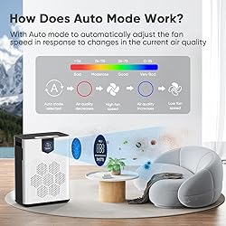 DAYETTE Air Purifiers for Home Large Room, H14 True