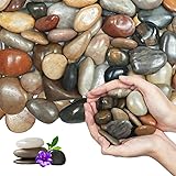 Lechloris 10Ib Mixed Rain Forest River Rocks for