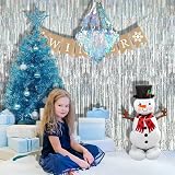 Silver Foil Curtain Backdrop 2 Pack 1x2.5m Tinsel Fringe Decor view 11