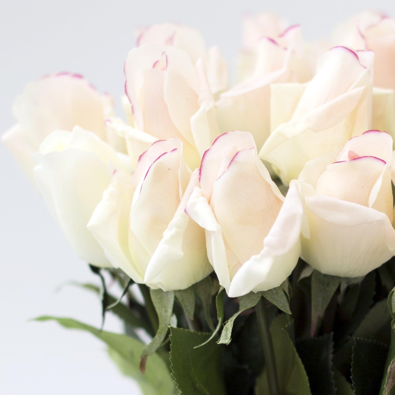 N YONGNUO 12Pcs Real Touch Latex Moisturizing Aritificial Flowers Rose of True and Natural for Wedding Bouquet/Home Decor or As A Gift Send to Ourself/Wife/Mother/Friends/Valentine's Day
