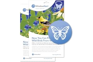WindowAlert Butterfly Anti-Collision Decal - UV-Reflective Window Decal to Protect Wild Birds from Glass Collisions, 2-Pack - Made in The USA